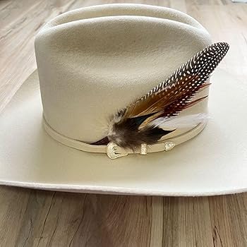 【if you have/Feather Hat】 Unisex Brixton Hat Feather in Bison/Mojave/Burnt Orange